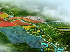 鄭州市工信局：積極構(gòu)建管城區(qū)、經(jīng)開區(qū)、中牟縣“兩區(qū)一縣”氫燃料電池汽車