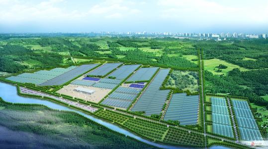 招強(qiáng)引優(yōu)、延鏈集群，泰安高新區(qū)打造新型工業(yè)化強(qiáng)市建設(shè)“高新樣板”