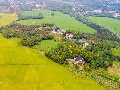 智慧園區(qū)規(guī)劃 | 產業(yè)園區(qū)該如何應對突發(fā)公共事件？