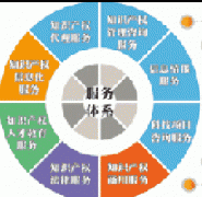 打造知識產(chǎn)權(quán)服務新業(yè)態(tài)策源地