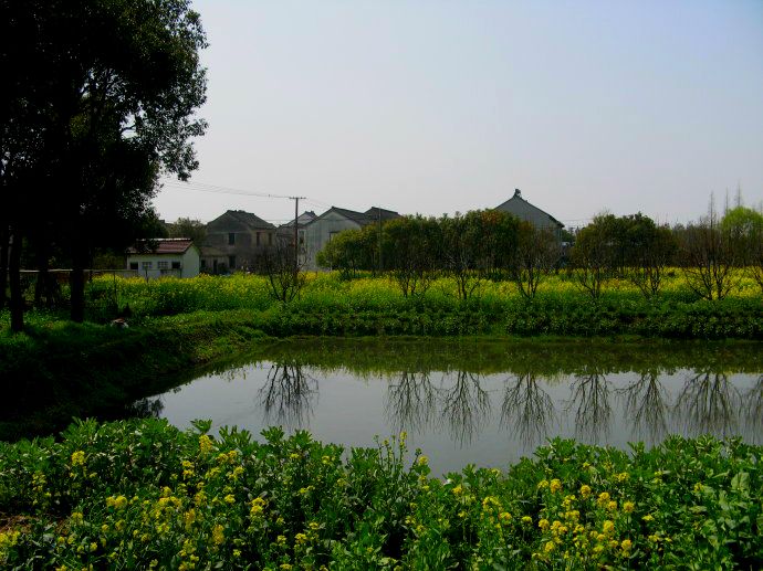上海鄉(xiāng)村振興，建設(shè)美麗綠色幸福“三園”