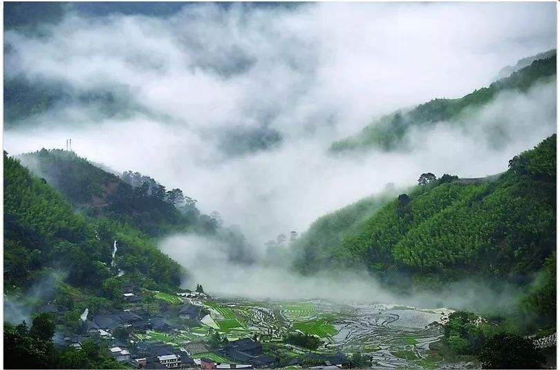 四、農(nóng)村一二三產(chǎn)業(yè)融合發(fā)展先導(dǎo)區(qū)項(xiàng)目