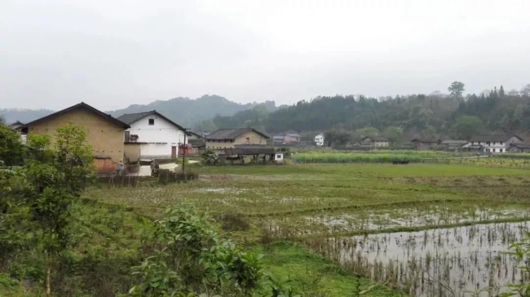 農(nóng)村土地確權(quán)結(jié)束，沒(méi)登記的四荒地如何處理？