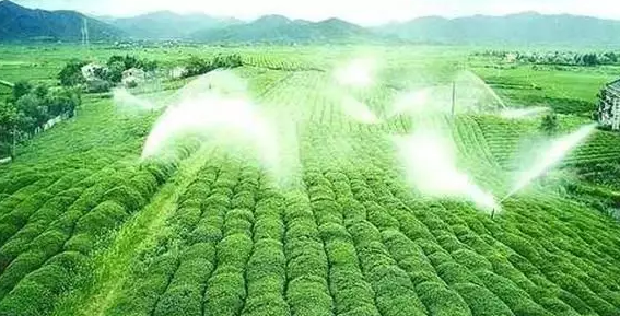 重磅！2019中央一號文件即將發(fā)布！大農業(yè)領域迎來新機遇