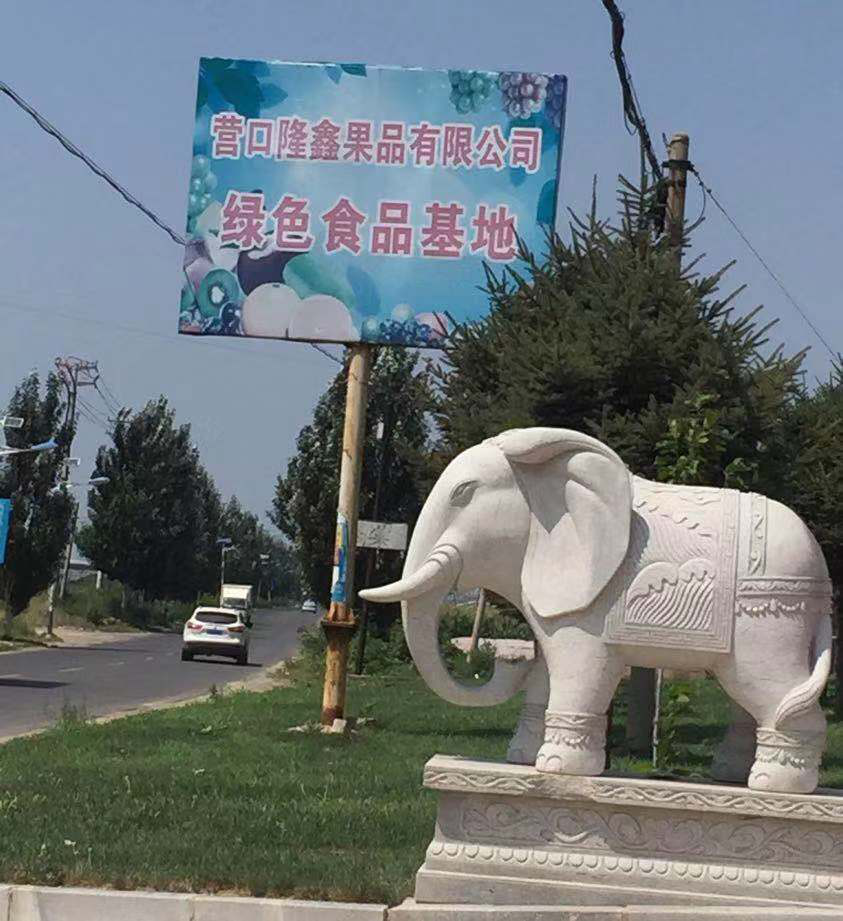 東北水果之鄉(xiāng)迎來發(fā)展新機(jī)遇，蓋州爭(zhēng)創(chuàng)省級(jí)現(xiàn)代農(nóng)業(yè)產(chǎn)業(yè)園