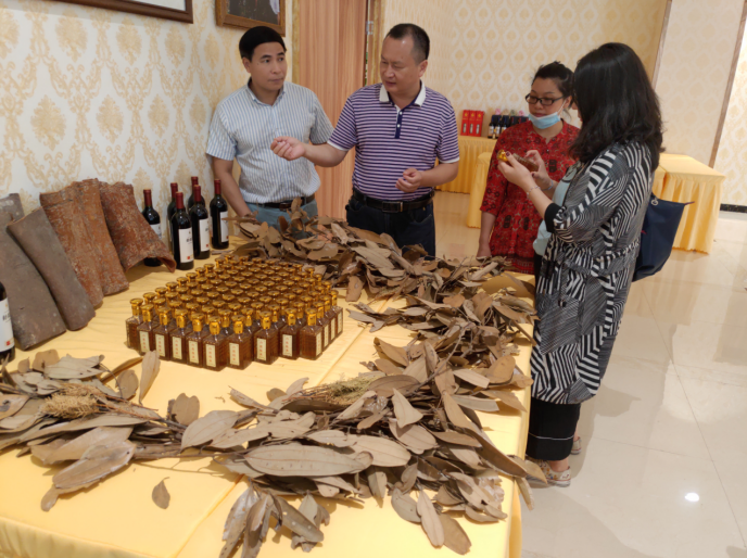 龔州大地，龍眼飄香-平南現(xiàn)代農(nóng)業(yè)正釋放科技創(chuàng)新活力