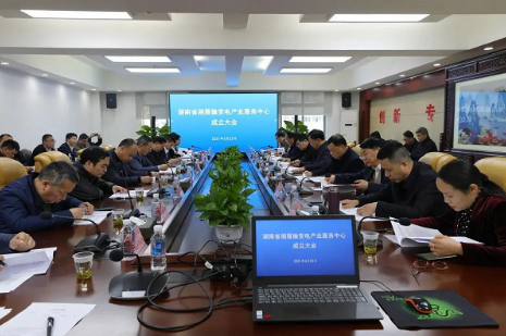湘雁輸變電產(chǎn)業(yè)服務(wù)中心在長沙成立，湖南輸變電產(chǎn)業(yè)開啟發(fā)展新篇章