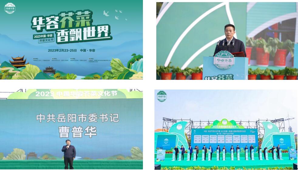 華容芥菜香飄四海，創(chuàng)建國家現(xiàn)代農業(yè)產業(yè)園恰逢其時