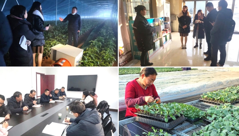 我院農業(yè)規(guī)劃所到山西長子縣調研，助力開展國家現(xiàn)代農業(yè)產業(yè)園申報工作